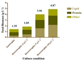 Maximizing Biomass and Lipid Production in Heterotrophic Culture of Chlorella vulgaris: Techno-economic Assessment