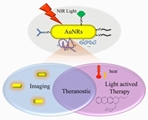 Multifunctional gold nanorod for therapeutic applications and pharmaceutical delivery considering cellular metabolic responses, oxidative stress and cellular longevity