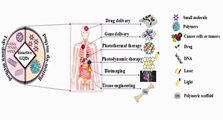 Bioactive Graphene Quantum Dots Based Polymer Composite for Biomedical Applications