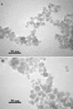 Impacts of Magnetic Immobilization on the Growth and Metabolic Status of Recombinant Pichia pastoris