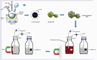 Application of magnetic immboilization for ethanol biosynthesis using Saccharomyces cerevisiae