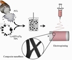 Nano Iron Oxide-PCL Composite as an Improved Soft Tissue Scaffold