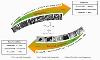 The potential of surface nano-engineering in characteristics of cobalt-based nanoparticles and biointerface interaction with prokaryotic and human cells