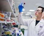 نانوذرات بارکددار DNA؛ مسیر تازه برای درمان دقیق سرطان