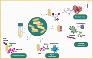 Bacterial nanotechnology as a paradigm in targeted cancer therapeutic delivery and immunotherapy